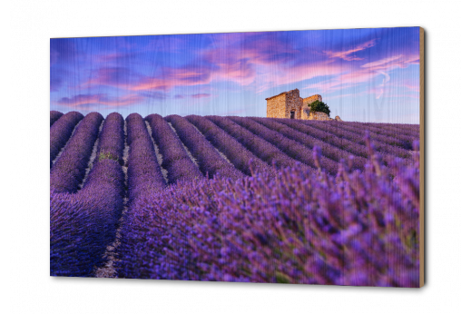 0 Тест Авторская